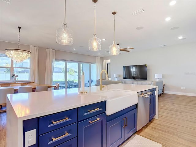 8891 DRUMMER PLANK DRIVE, Wesley Chapel, FL 33545