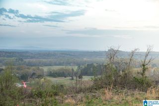 4947 HIGHWAY 231, Vincent, AL 35178