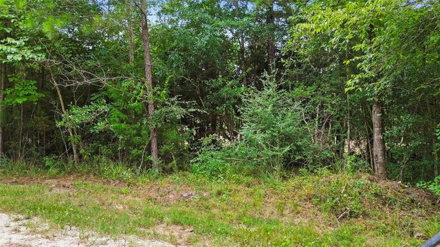 TBD Big Woods Road, New Waverly, TX 77358