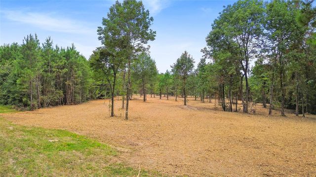 TBD Big Woods Road, New Waverly, TX 77358
