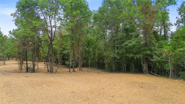 TBD Big Woods Road, New Waverly, TX 77358