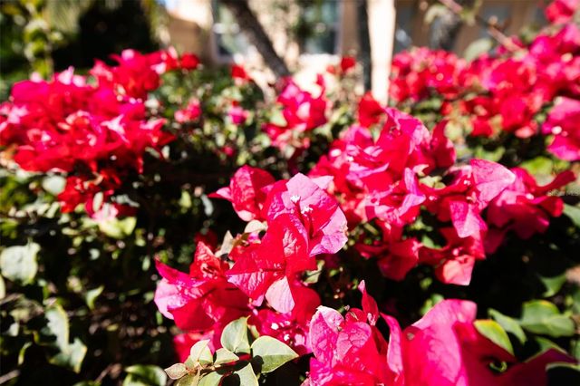 5704 34TH COURT W, Bradenton, FL 34210