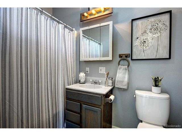 30282 Spruce Rd, Evergreen, CO 80439