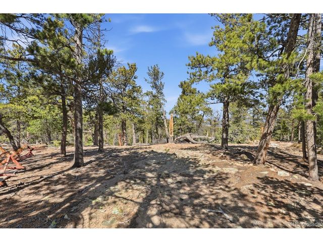 33149 Janelle Cir, Golden, CO 80403