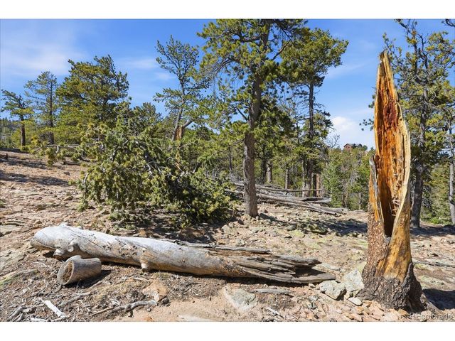 33149 Janelle Cir, Golden, CO 80403