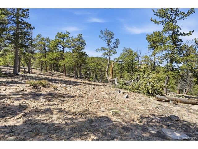 33149 Janelle Cir, Golden, CO 80403