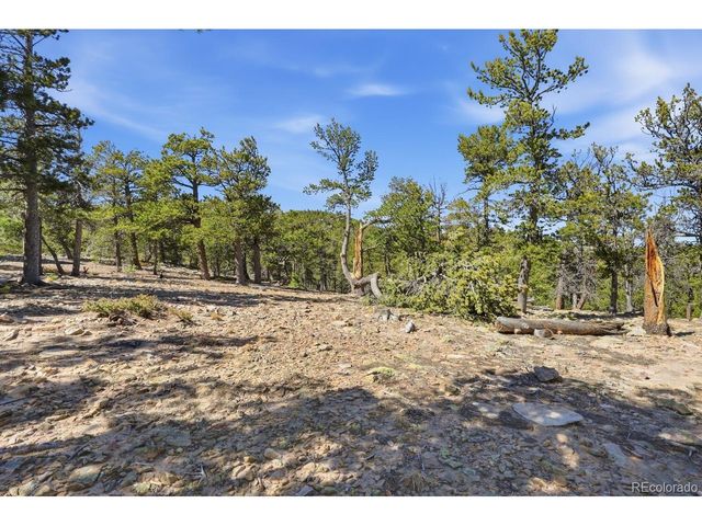 33149 Janelle Cir, Golden, CO 80403