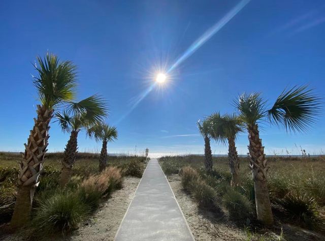 523 S Ocean Blvd Apt 802, North Myrtle Beach, SC 29582
