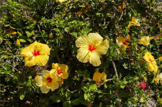 281 Spinks Canyon, Bradbury, CA 91008