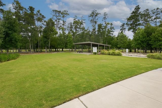168 Skybranch Drive, Conroe, TX 77304