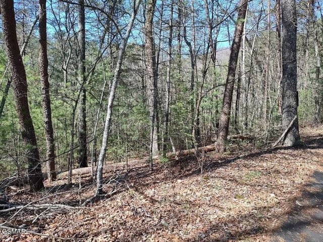 10 John Boy Trail, Sevierville, TN 37862