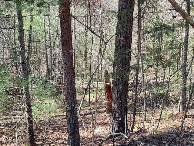 10 John Boy Trail, Sevierville, TN 37862