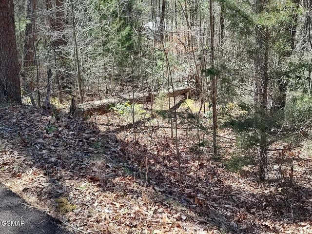 10 John Boy Trail, Sevierville, TN 37862