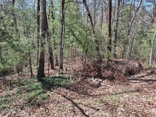 10 John Boy Trail, Sevierville, TN 37862