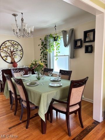 1129 Avondale Road, South Euclid, OH 44121