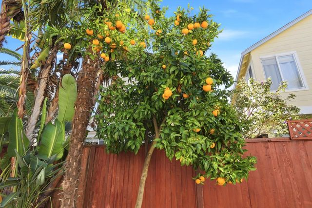 928 Wilks Street, East Palo Alto, CA 94303