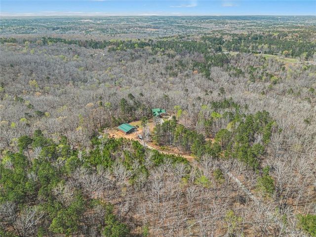 9150 W Banks Mill Road, Winston, GA 30187