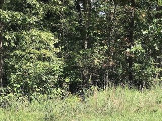 Lot 11 Bk 6 Shetland Drive, Bella Vista, AR 72715