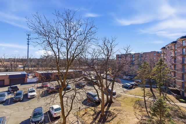 6010 Lake Bluff Drive 402, Tinley Park, IL 60477