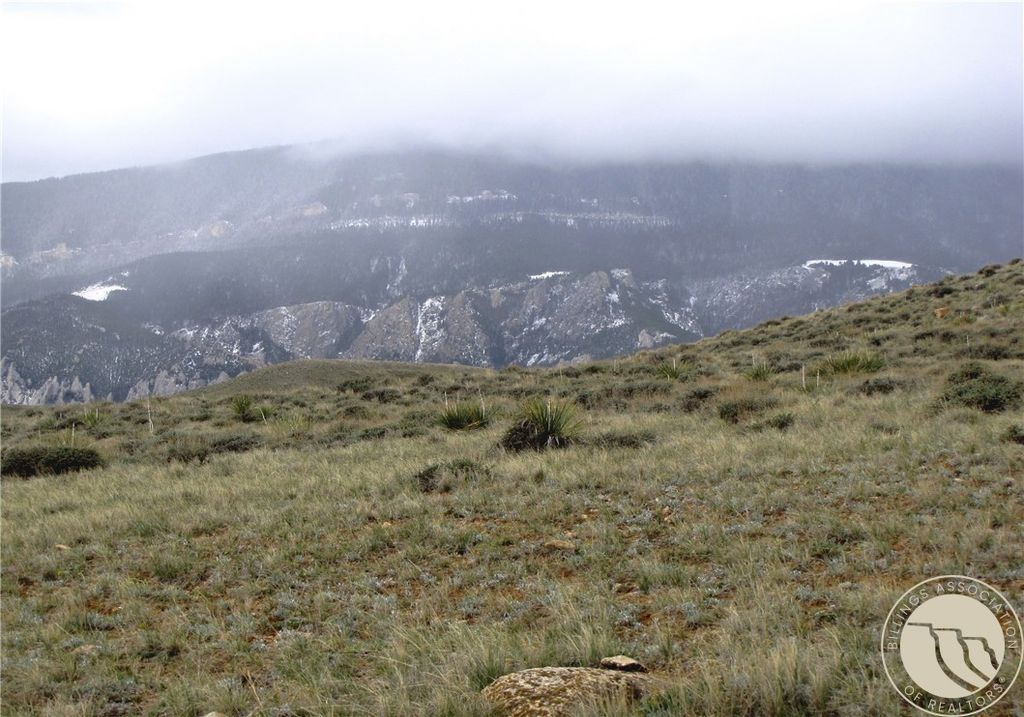 nhn Deadman Creek Road, Bridger, MT 59014 photo 11