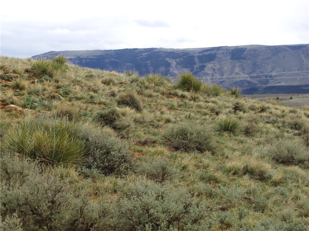 nhn Deadman Creek Road, Bridger, MT 59014 photo 15