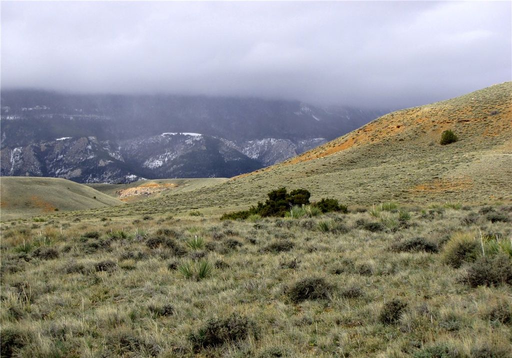 nhn Deadman Creek Road, Bridger, MT 59014 photo 29