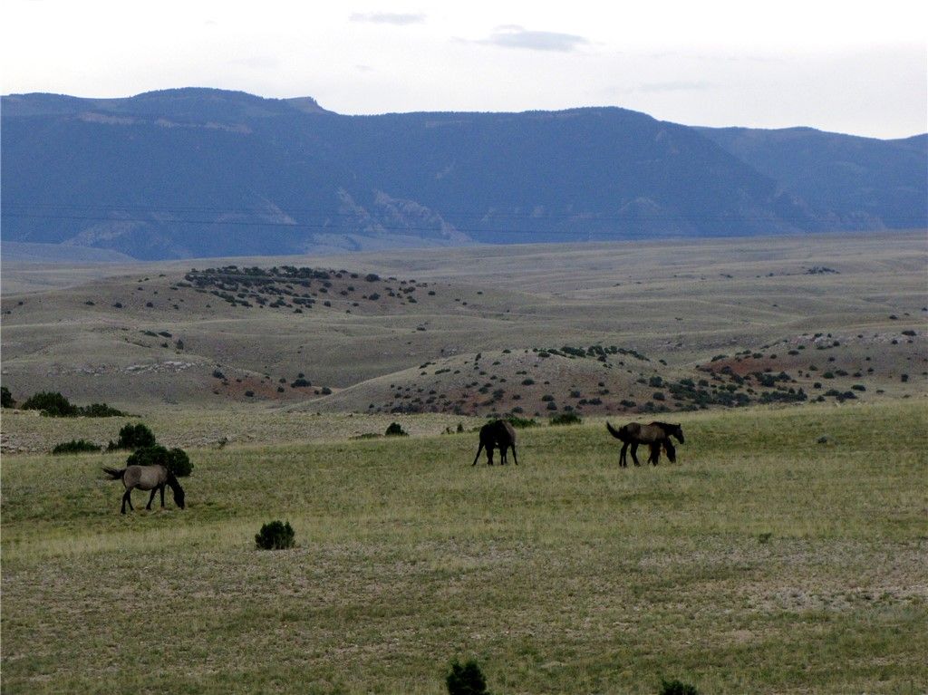 nhn Deadman Creek Road, Bridger, MT 59014 photo 42
