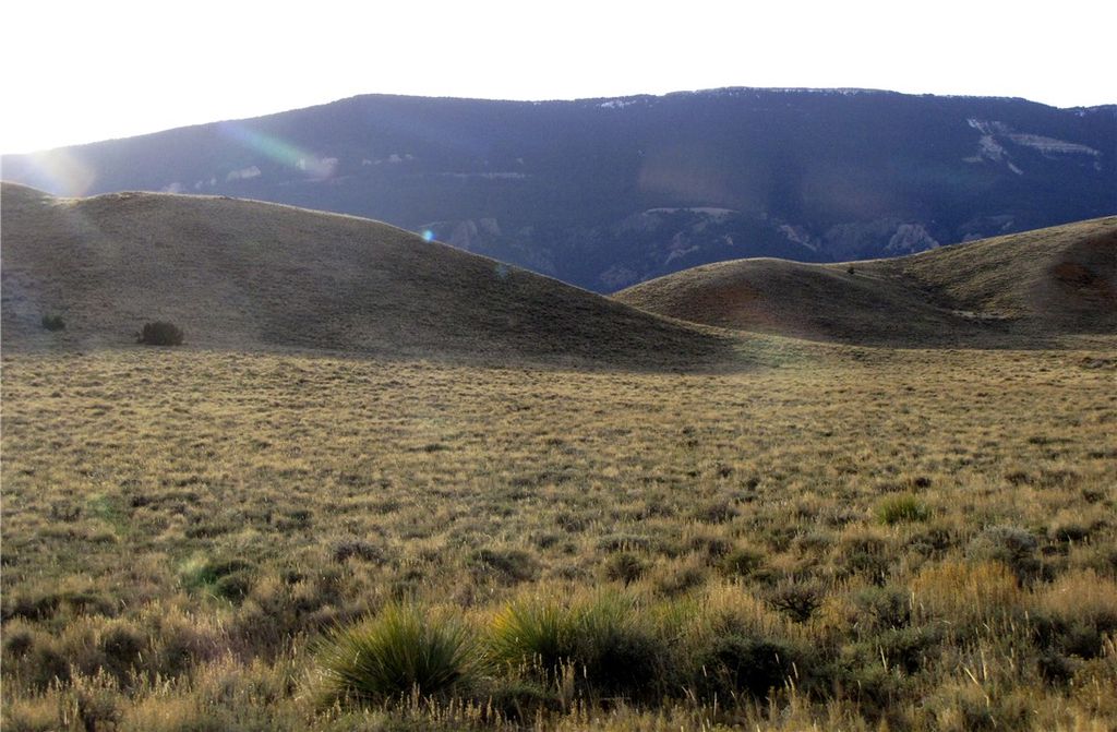 nhn Deadman Creek Road, Bridger, MT 59014 photo 9