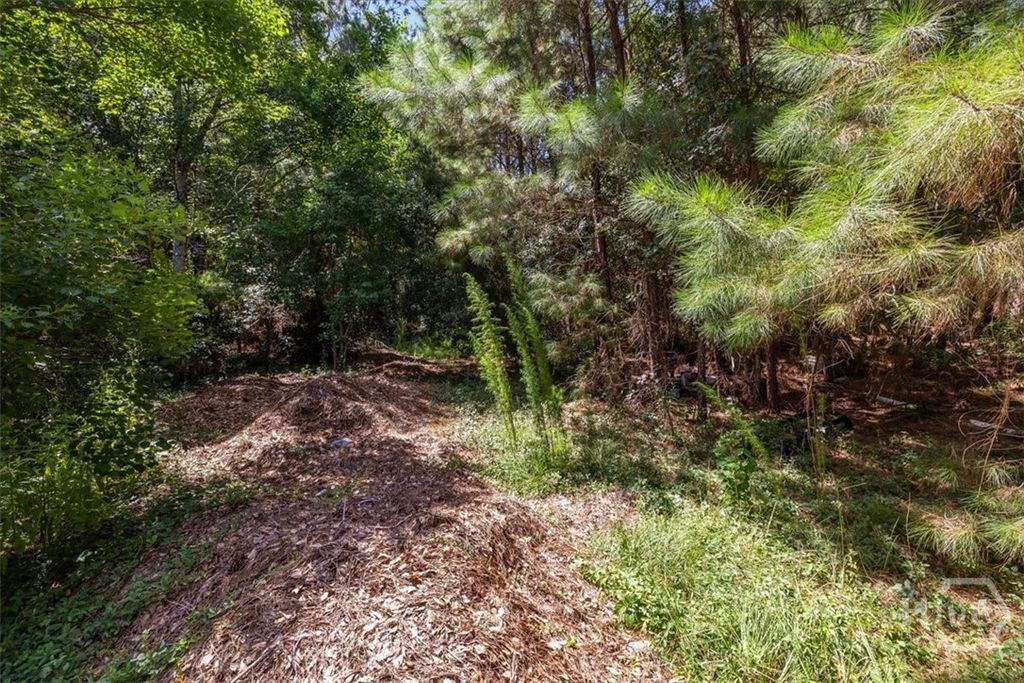 Image 13 of property listing at 202 Nease Road, Guyton, GA 31312