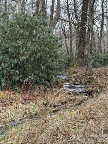 4 Ambrose Court 155, Flat Rock, NC 28731