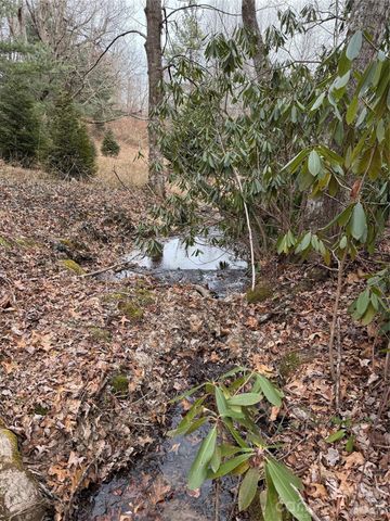 4 Ambrose Court 155, Flat Rock, NC 28731