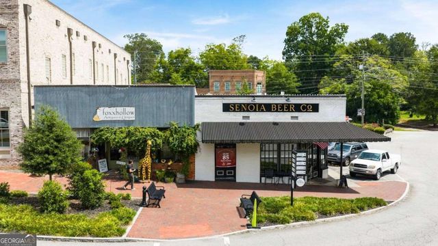 170 Savannah Drive, Senoia, GA 30276