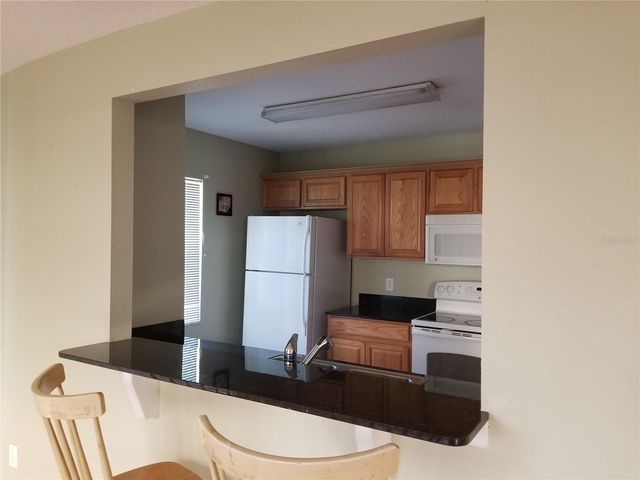 219 DRAW BRIDGE LANE, Valrico, FL 33594