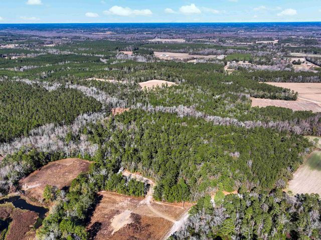 TBD Sand Hill Bay Rd., Loris, SC 29569