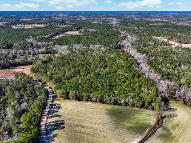 TBD Sand Hill Bay Rd., Loris, SC 29569