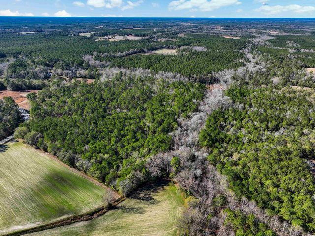 TBD Sand Hill Bay Rd., Loris, SC 29569