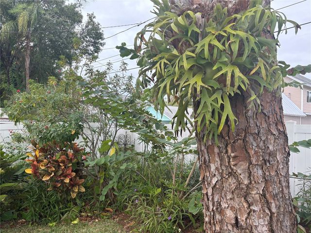 512 TENNESSEE AVENUE, Crystal Beach, FL 34681