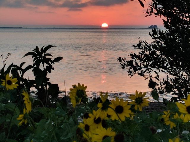 512 TENNESSEE AVENUE, Crystal Beach, FL 34681