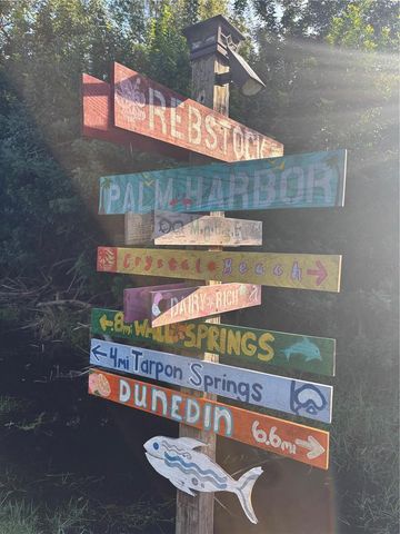 512 TENNESSEE AVENUE, Crystal Beach, FL 34681