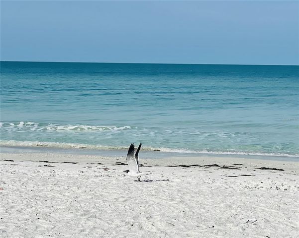 512 TENNESSEE AVENUE, Crystal Beach, FL 34681