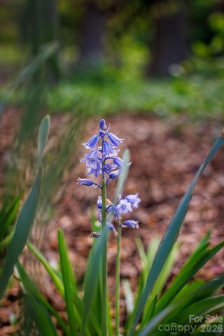 8215 Chandos Place, Huntersville, NC 28078