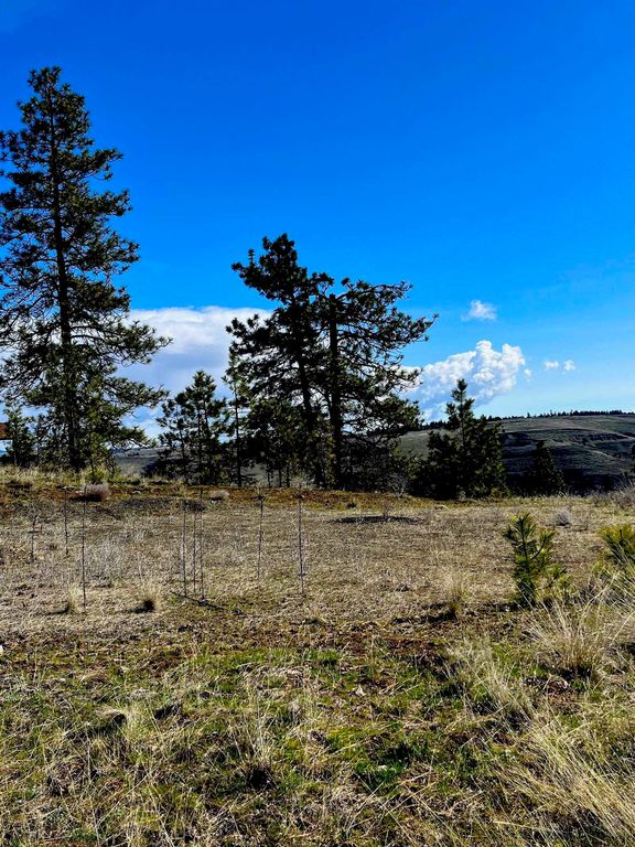 34430 Partridge N Ln, Davenport, WA 99122 photo 11