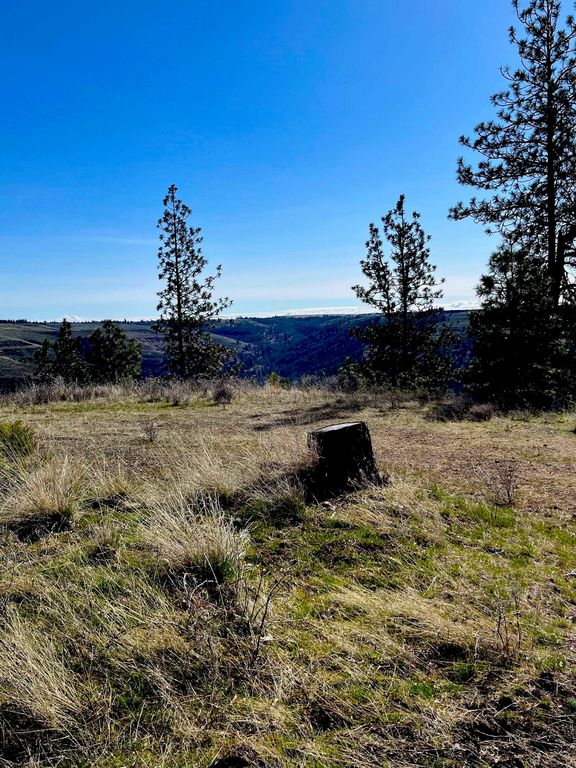 34430 Partridge N Ln, Davenport, WA 99122 photo 12