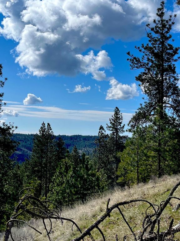 34430 Partridge N Ln, Davenport, WA 99122 photo 3