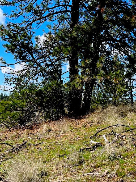 34430 Partridge N Ln, Davenport, WA 99122 photo 4