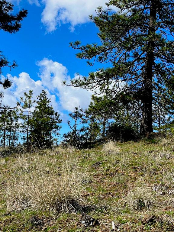 34430 Partridge N Ln, Davenport, WA 99122 photo 5