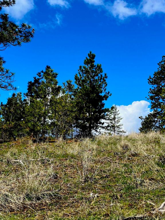 34430 Partridge N Ln, Davenport, WA 99122 photo 6