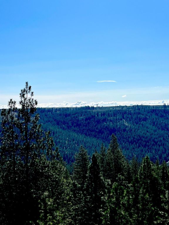 34430 Partridge N Ln, Davenport, WA 99122 photo 7