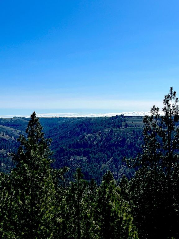 34430 Partridge N Ln, Davenport, WA 99122 photo 8