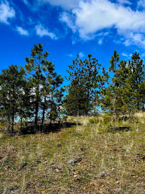 34430 Partridge N Ln, Davenport, WA 99122 photo 9